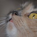 ���� �����, ��������, 47 ��� - ��������� 21 ��� 2013 � ������ ���� ����������