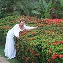 ���������� ������ ��������� 3 �� ������� ��������. ������