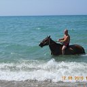 �������!!!! �� ������� �PetLove�