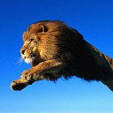 ���� Is-aslanov, ������, 28 ��� - ��������� 22 ����� 2013 � ������ ���� ����������