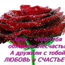  , -, 43  -  13  2011   