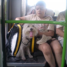 ���� Sergovoy, ��������������, 27 ��� - ��������� 17 ������� 2010