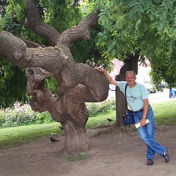 ������, ������, 66 ���