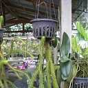 ���� ������, ����������, 55 ��� - ��������� 7 ���� 2011 � ������ �������