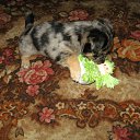 ���� ����, ���������, 40 ��� - ��������� 7 ���� 2011 � ������ ���� ������� � �������