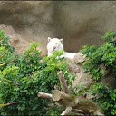 ���� ����, ����, 57 ��� - ��������� 21 �������� 2012 � ������ ������� ���� �������