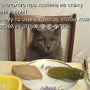   D* Tuta,  -  10  2009     