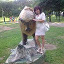 ���� ������, ������ - ��������� 3 ���� 2013 � ������ ���� ����������