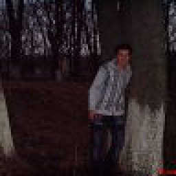 �������, �����������, 43 ����