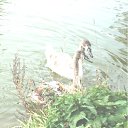 ���� ������, ������, 67 ��� - ��������� 18 ����� 2011 � ������ ���� ��