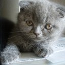 ����� �� ������� ���� ��������