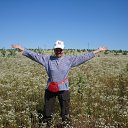 ���� �������, ������, 69 ��� - ��������� 22 ���� 2011 � ������ ���� ����������