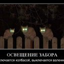 ���� Yuriy, ���������, 44 ���� - ��������� 7 ������� 2011 � ������ �������