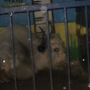 ���� �������, �������, 38 ��� - ��������� 28 ������ 2010 � ������ ������� �����!!!�