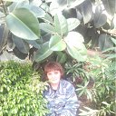 ���� ������, ��������� - ��������� 2 ��� 2012 � ������ ���� ����������