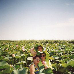 �������� ��������, ���������, 71 ���