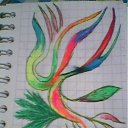 ���� �����, ������������, 38 ��� - ��������� 22 ������ 2012 � ������ �������