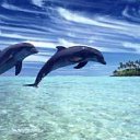 ���� Elmar, ����, 47 ��� - ��������� 2 ������� 2013 � ������ ���� ����������