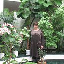 ���� �������, ������, 61 ��� - ��������� 26 ���� 2012