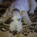 ���� ���������, �����������, 47 ��� - ��������� 14 ������ 2010 � ������ ���� ����������