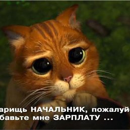 ���� Net, ������ - ��������� 6 ����� 2012