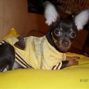 ���� Storm, ���������, 46 ��� - ��������� 26 ����� 2012 � ������ ���� ����������