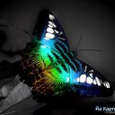 ���� ���, ������ - ��������� 21 ������ 2013 � ������ ���� ����������