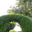    .  ...     -  !    .      - 2013