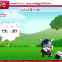���� ������, �����-���������, 41 ��� - ��������� 12 ��� 2011 � ������ �PetLove�