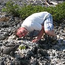 ���� ���������, ������, 48 ��� - ��������� 17 ����� 2013 � ������ ���� ����������