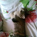 ���� ����, ��� - ��������� 11 ������ 2010 � ������ ���� ������� �������