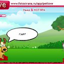 ���� ������, ��������� - ��������� 2 ������ 2010 � ������ �PetLove�