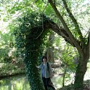 ���� ������, �����������, 55 ��� - ��������� 8 ���� 2012 � ������ ���� ����������