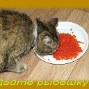 ���� ������, �������, 31 ��� - ��������� 7 ������ 2011 � ������ ���� ����������