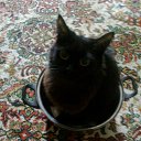 ���� ����, ���� - ��������� 26 ������� 2012 � ������ �������� �����