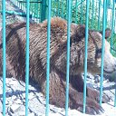 ���� ���������, �������, 62 ���� - ��������� 22 ���� 2012 � ������ �������