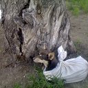 ���� ������, ���������, 45 ��� - ��������� 14 ������ 2013 � ������ ���� ����������