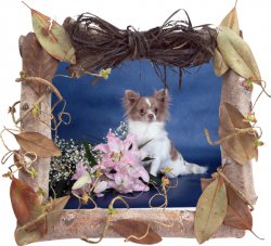 ���� ���������, ������, 45 ��� - ��������� 19 ����� 2012