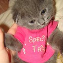 ���� Super Star �����, ������������, 50 ��� - ��������� 21 ������� 2012 � ������ ���-���