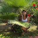 ���� �������, ������, 52 ���� - ��������� 14 ���� 2013 � ������ ���� ����������