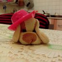 ���� ������, ������, 46 ��� - ��������� 19 ������ 2012 � ������ ���� ����������