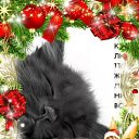 ���� ����, �����������, 45 ��� - ��������� 13 ������ 2012