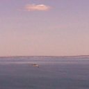 ���� ����, �������, 40 ��� - ��������� 24 ������� 2010