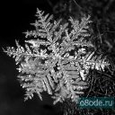 ���� �������, ������, 41 ��� - ��������� 9 ������� 2009 � ������ ���������