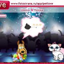  Maksym, , 48  -  9  2011   PetLove