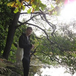 ���� ������, �����-���������, 39 ���