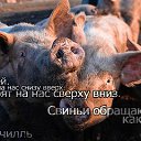 ���� ���� �������., ���������, 42 ���� - ��������� 30 ������� 2009 � ������ ������� �������