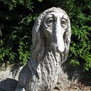  , , 33  -  15  2009       ?