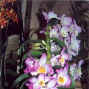 ���� ����. ��������� �� ��!, ������, 72 ���� - ��������� 13 ������ 2011 � ������ ��������