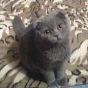 ���� ����, �������, 45 ��� - ��������� 2 ������� 2011